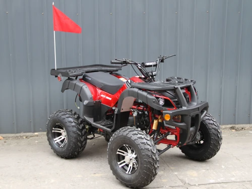RPS Desert 200 Full Size Adult ATV 149cc Automatic with Reverse