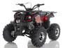 Apollo Focus-10 DLX 125cc ATV, Single Cylinder, Air Cooled, 4 Stroke 1Speed+Reverse - Fully Assembled and Tested