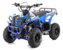 Apollo Mini Commander 110cc ATV, Auto With Reverse ( Now With Remote Kill )