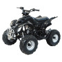 Limited Time Sale only ! ATV 125A (ATV 125CC AUTO W/ REVERSE, SPORTY LOOK REMOTE KILL AND START & MORE)