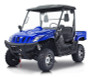 BMS Ranch Pony 500cc Utility, Vehicle with Automatic Transmission, w/Reverse, 4x4 Shaft Drive