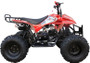 Coolster 3125A2 Mountain-HD125 Mid Size ATV, Air Cooled, Single Cylinder 4-Stroke Auto w/ Reverse
