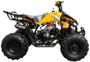 Coolster ATV-3125C-2 / 125CC Semi Automatic Mid Size ( SIDE VIEW )
