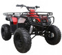 Coolster Kodiak atv 3125D-2 125cc Kids ATV, 125CC Air Cooled, Single Cylinder, 4-Stroke