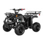 Coolster ATV-3125R KODIAK-HD 125CC ATV with REVERSE Big 16" Tire, 125CC Single Cylinder, 4-Stroke, Air-Cooled