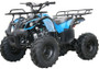 Coolster Atv-3125XR8-S Kodiak-Hd125 Semi-Auto Mid Size, 124CC Air Cooled, Single Cylinder, 4-Stroke ATV