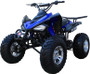 Coolster 3150CXC REACTION-HD 150 ATV, ALLOY Full Size Air Cooled 4 Stroke Single Cylinder