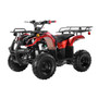 Coolster 3125R KODIAK-HD 125CC ATV Big 16" Tire, Single Cylinder, 4-Stroke, Air-Cooled  w/Reverse Factory Assembled A Version