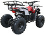 Coolster 3125XR8 Kodiak-Hd 125CC Mid Size ATV, Air Cooled, Single Cylinder, 4-Stroke Auto w/ Reverse