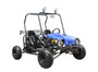 Taotao ATK125A 110CC, Air Cooled, 4-Stroke, 1-Cylinder Electric Start Go Kart - Fully Assembled and Tested