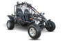 Kandi Spyder 200 (200GKA-2) Buggy Gokart