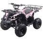 Coolster 3125XR8 KODIAK-HD 125CC Mid Size ATV with REVERSE Fully Assembled and Tested