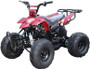 ICE BEAR ''Big Raptor'' 125cc ATV Automatic with Reverse
