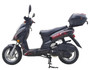 2024 MODEL ICE BEAR ALDO (PMZ150-11) 150CC SCOOTER, AIR COOLED, AUTOMATIC, ELECTRIC AND KICK START