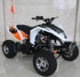 RPS 250 Atv Max-7, Water Cool, 4 Speed Clutch With Reverse, Alloy Wheels,  Alloy Muffler - Fully Assembled And Tested