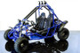 RPS Transformer 200 GO Kart, 200cc Automatic, Single Cylinder, 4-Stroke