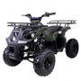 Taotao ATA 125D ATV 107CC, Air Cooled, 4-Stroke, 1-Cylinder, Automatic ( BLACK COLOR )