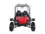 TaoTao 4FUN200 176cc, Air Cooled, 4-Stroke, 1-Cylinder, Fully Automatic with Reverse, Chain Drive