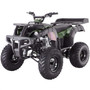 ASSEMBLED FULL SIZE TAOTAO ATA 250D Huge 23 inch tires ATV