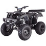 ASSEMBLED FULL SIZE TAOTAO ATA 250D Huge 23 inch tires ATV