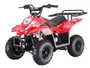 Taotao Boulder B1 110CC Small Kids ATV - Air Cooled, 4-Stroke, 1-Cylinder, Automatic