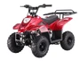 Taotao Boulder B1 110CC Small Kids ATV - Air Cooled, 4-Stroke, 1-Cylinder, Automatic