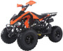 Taotao Motor 150G, 150CC, Air Cooled, 4-Stroke, 1-Cylinder, Automatic ATV ( ORANGE COLOR )