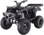 Taotao RHINO250 200CC, Air Cooled, 4-Stroke, 1-Cylinder, Manual Transmission - Fully Assembled and Tested