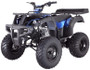 Taotao RHINO250 200CC, Air Cooled, 4-Stroke, 1-Cylinder, Manual Transmission - Fully Assembled and Tested