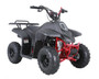 Taotao Rock 110 ATV With Reverse