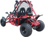 TAOTAO TARGA 150 SPIDER GO KART HIGH END