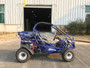 Trail master 300XRX-E EFI Go Kart, Fully Automatic With Reverse Engine, Liquid Cool Efi (Fuel Injection)