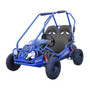 TrailMaster Mini XRX, 4-Stroke, Air Cooled, Single Cylinder GoKart Carb Approved - Fully Assembled and Tested