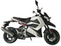 Vitacci Orion 49cc Motorcycle, Electric/Kick, 4 Stroke, Single Cylinder, Air-Forced Cool - Fully Assembled and Tested - WHITE