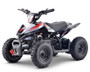 VITACCI E-MINI RACER E-QD03K ATV