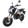 TaoTao New Arrival! HELL CAT 125cc Motorcycle with Manual Transmission, Electric Start, 12" Alloy Rim Wheels