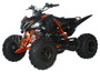 Vitacci Pentora 200 EFI Full Size 176cc ATV, Fully Automatic Air-Cooled SOHC 4-Stroke - Fully Assembled and Tested