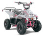 Taotao New Boulder B1 ATV, 110cc Air Cooled, 4-Stroke, 1-Cylinder, Automatic - Pink
