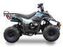 Icebear Dyno-R(PAH110-2R) 110Cc Atv, Fully Automatic With Reverse, Remote Control Kill Switch - Blue