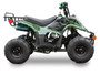 Icebear Dyno-R(PAH110-2R) 110Cc Atv, Fully Automatic With Reverse, Remote Control Kill Switch - Green