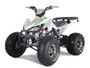 TaoTao 120CC NEW Cheetah PLATINUM ATV, Fully Automatic with Reverse, Air Cooled, 4-Stroke, 1-Cylinder - Green