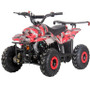 DongFang 110cc (DF110AVA) Gas ATV With 6-inch Wheel, Electric Start, Remote Shut Off Switch