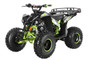 TrailMaster F125 Youth ATV, 125Cc, 4-stroke, 8" wheel, Automatic with Reverse, electric start - Green