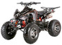 Coolster 3200S Sports Style Adult ATV, 168.9Cc, Alloy Rims, Automatic with reverse, Electric Start - Black