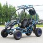 Vitacci Mini Jaguar 125cc Go Kart, Automatic with reverse, horizontal type, 4-stroke, air-cooled