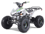 Taotao 125Cc Cheetah G125 Atv, Air-Cooled, 4-Stroke, Single-Cylinder
