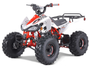 Taotao 125Cc Cheetah G125 Atv, Air-Cooled, 4-Stroke, Single-Cylinder