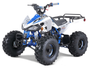 Taotao 125Cc Cheetah G125 Atv, Air-Cooled, 4-Stroke, Single-Cylinder