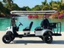 NEW 6 SEATER GOLF CART DYNAMIC GT6 LIMO LITHIUM POWERED GOLF CART