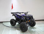 RPS 200cc Utility ATV Fully Automatic with Reverse, Hydraulic Disc Brake